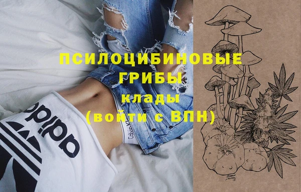 экстази Алексеевка